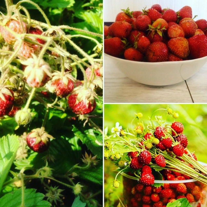 УДИВИТЕЛЬНО, НО ФАКТ… (Часть 108), изображение №37